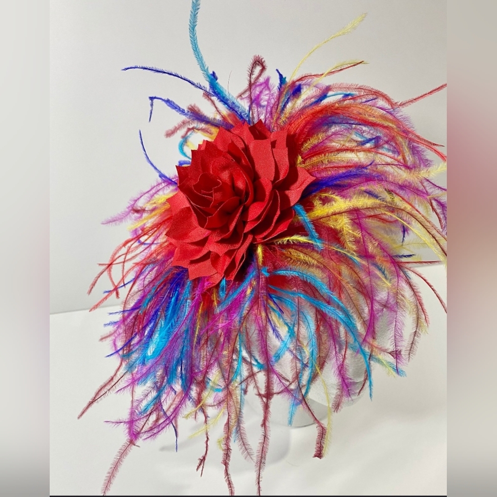Elegant Red and Multicolor Feather Hat